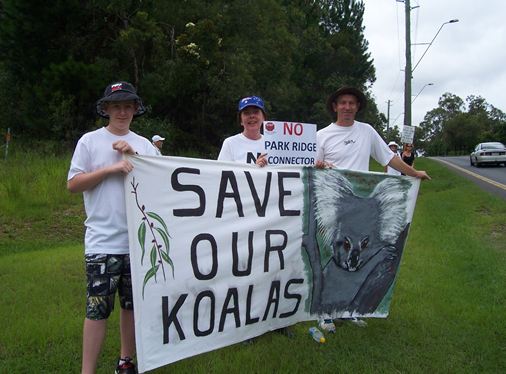 save-our-koalas-no-prc