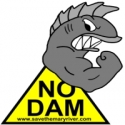 no-dam_logo