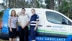 animal-ambulance
