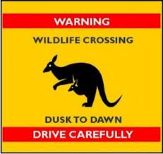 warning-drive-slowly